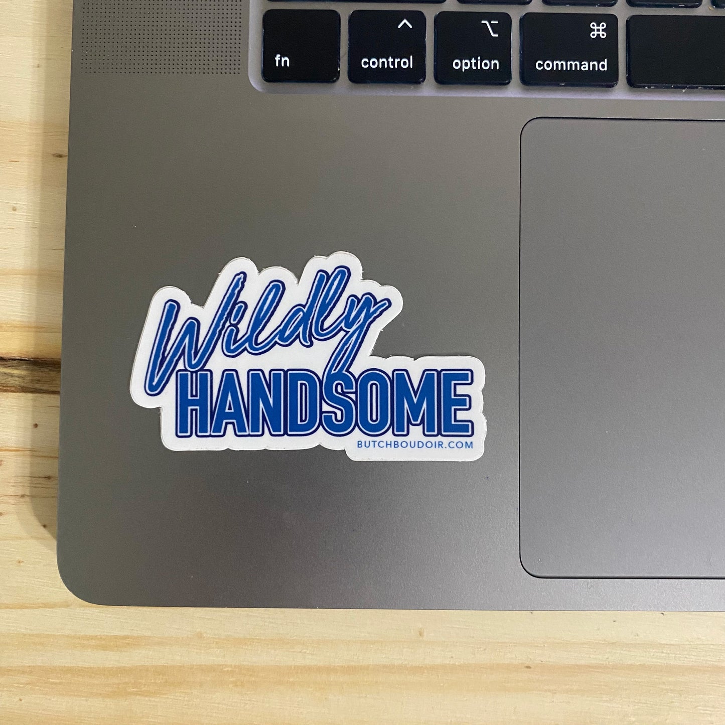 Wildly Handsome Sticker